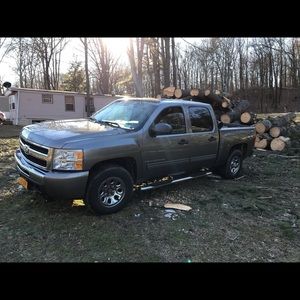 Meet your Posher, Shane